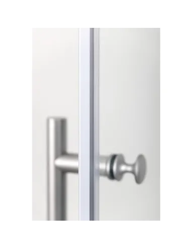 Porte de douche pivotante REFLET-P 80x200 cm ODYSSEA – verre 6 mm