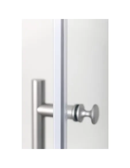 Porte de douche pivotante REFLET-P 80x200 cm ODYSSEA – verre 6 mm